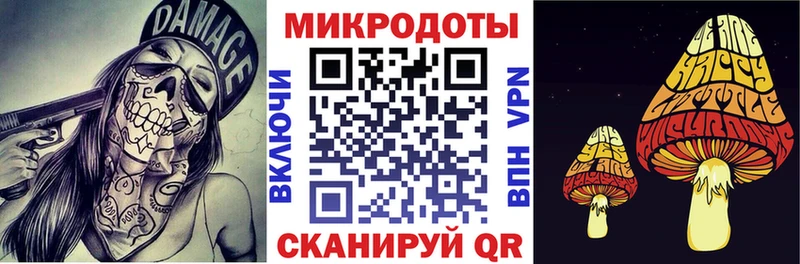 ОМГ ОМГ маркетплейс  Алдан  Галлюциногенные грибы GOLDEN TEACHER 